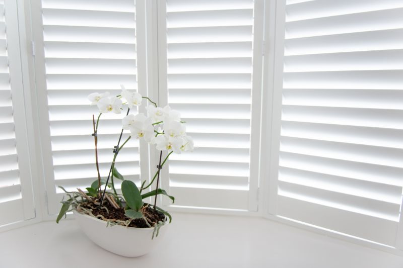 Shutter Mounting in Kansas City, KS