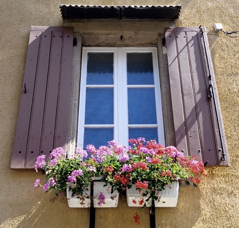 Inspecting Damaged Shutters